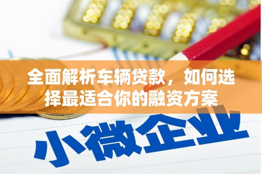 泸水全面解析车辆贷款，如何选择最适合你的融资方案