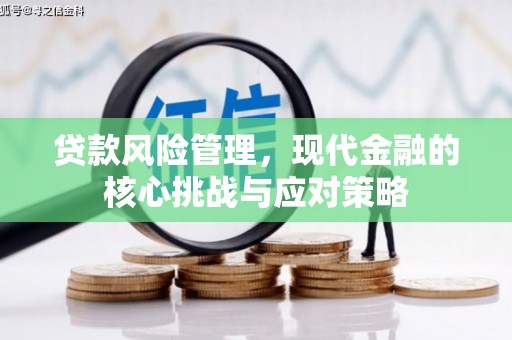 泸水贷款风险管理，现代金融的核心挑战与应对策略