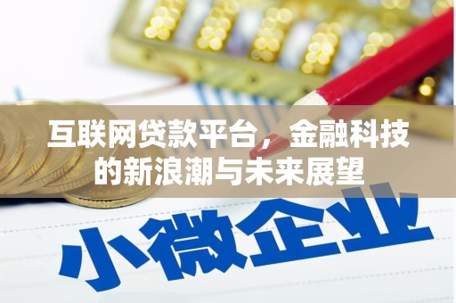 泸水互联网贷款平台，金融科技的新浪潮与未来展望