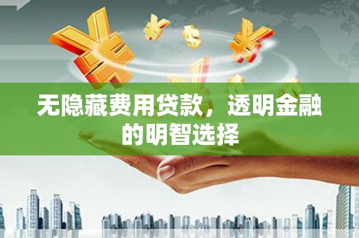泸水无隐藏费用贷款，透明金融的明智选择