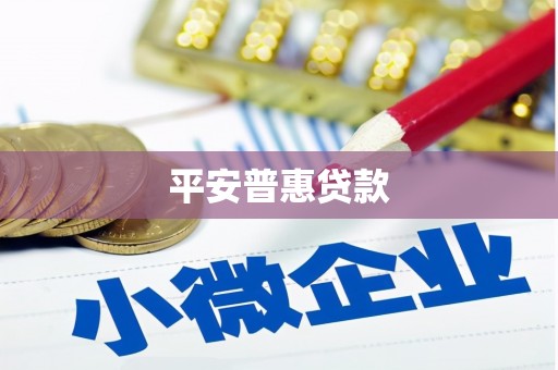 泸水平安普惠贷款
