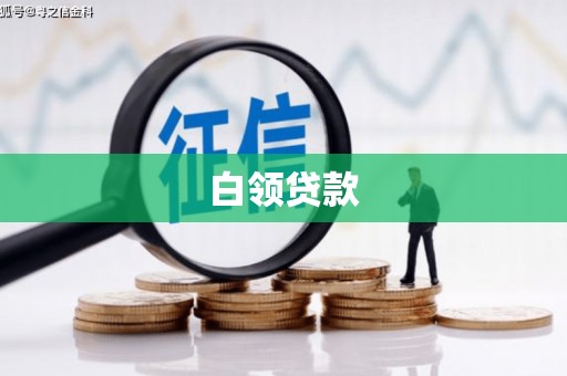 泸水白领贷款