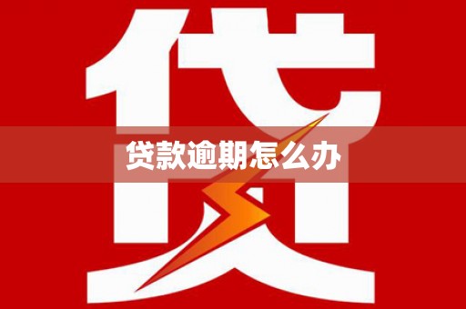 泸水贷款逾期怎么办