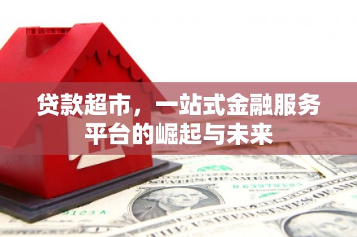 泸水贷款超市，一站式金融服务平台的崛起与未来
