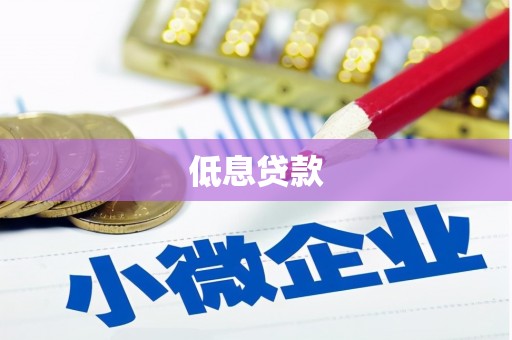 泸水低息贷款