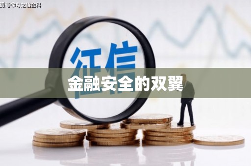泸水金融安全的双翼