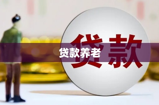 泸水贷款养老