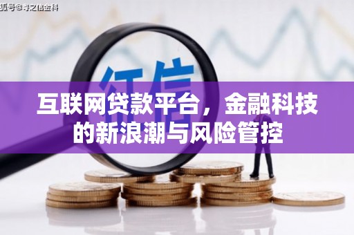泸水互联网贷款平台，金融科技的新浪潮与风险管控