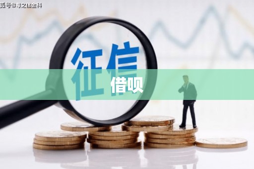 泸水借呗