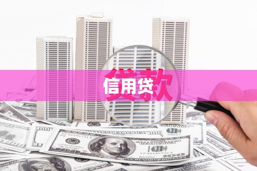 泸水信用贷