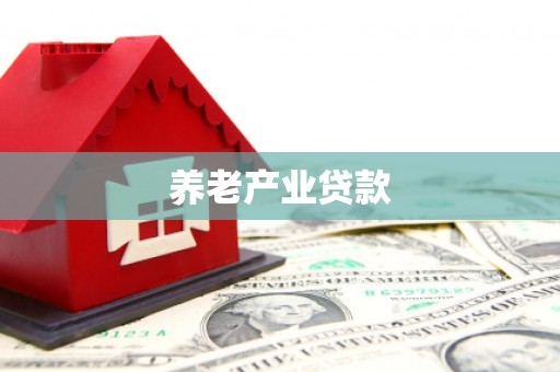 泸水养老产业贷款