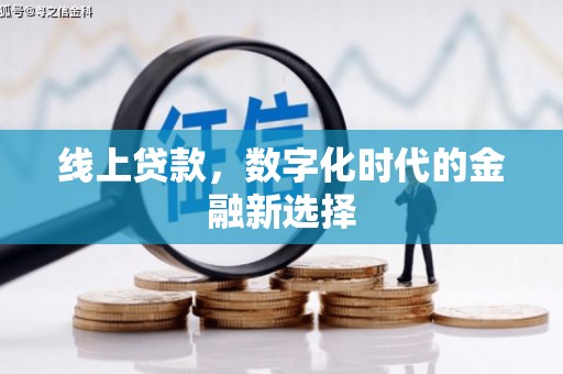 泸水线上贷款，数字化时代的金融新选择