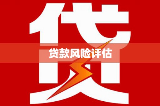 泸水贷款风险评估