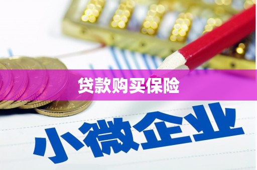 泸水贷款购买保险