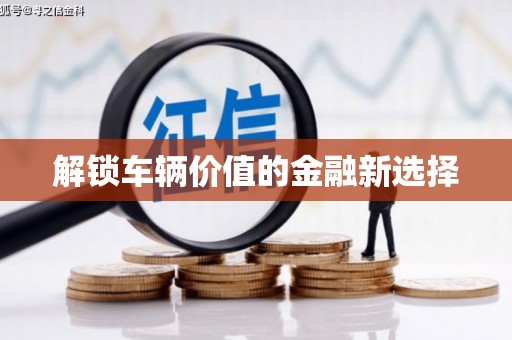 泸水解锁车辆价值的金融新选择