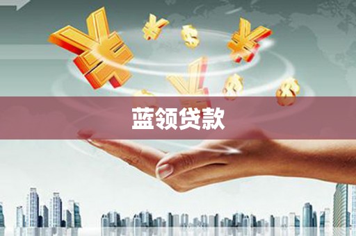 泸水蓝领贷款