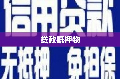 泸水贷款抵押物