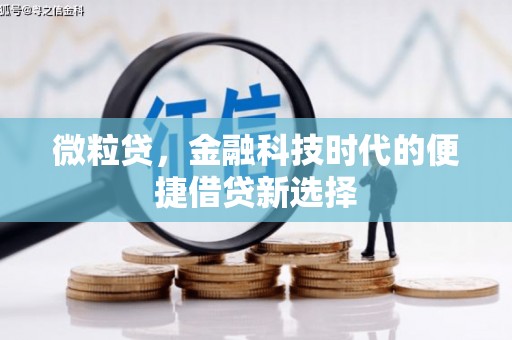 泸水微粒贷，金融科技时代的便捷借贷新选择