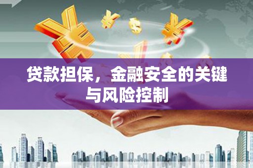 泸水贷款担保，金融安全的关键与风险控制