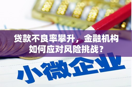 泸水贷款不良率攀升，金融机构如何应对风险挑战？