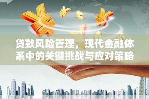 泸水贷款风险管理，现代金融体系中的关键挑战与应对策略