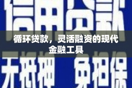 泸水循环贷款，灵活融资的现代金融工具