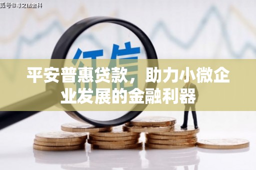 泸水平安普惠贷款，助力小微企业发展的金融利器
