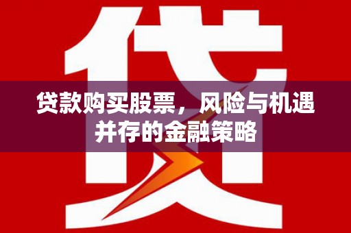 泸水贷款购买股票，风险与机遇并存的金融策略