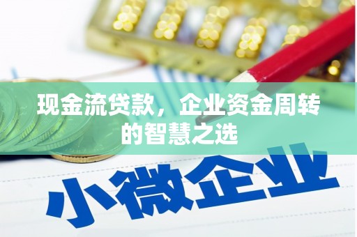 泸水现金流贷款，企业资金周转的智慧之选