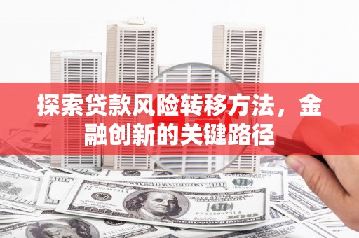 泸水探索贷款风险转移方法，金融创新的关键路径
