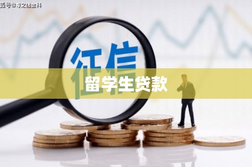 泸水留学生贷款