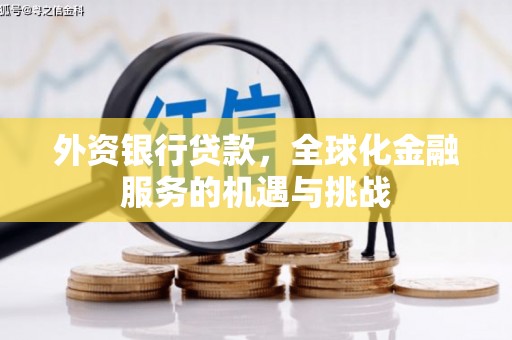 泸水外资银行贷款，全球化金融服务的机遇与挑战