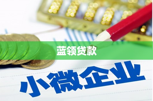 泸水蓝领贷款