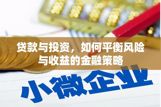 泸水贷款与投资，如何平衡风险与收益的金融策略