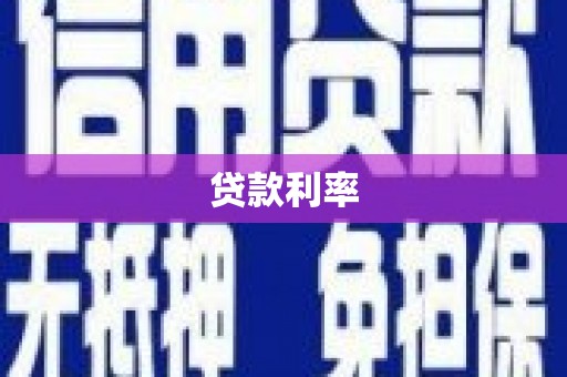 泸水贷款利率