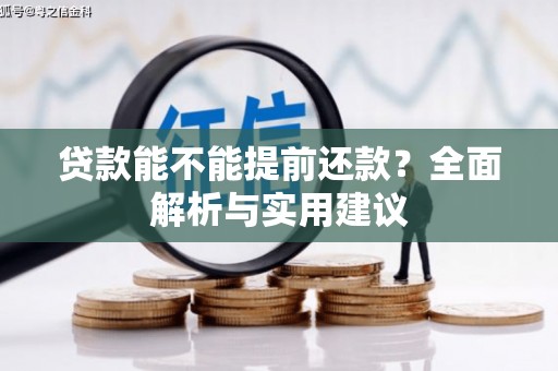 泸水贷款能不能提前还款？全面解析与实用建议