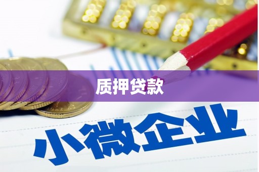 泸水质押贷款