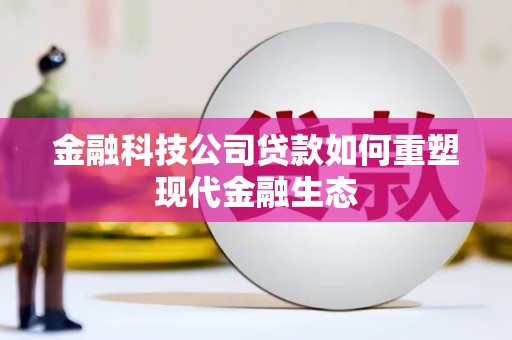 泸水金融科技公司贷款如何重塑现代金融生态