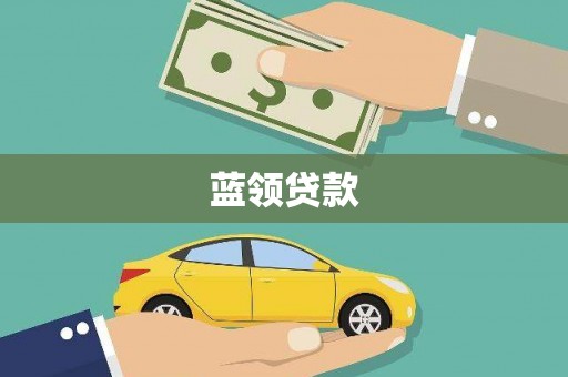 泸水蓝领贷款