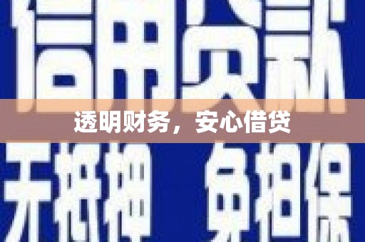 泸水透明财务，安心借贷