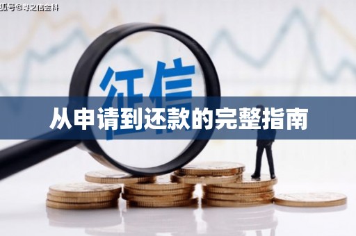 泸水从申请到还款的完整指南