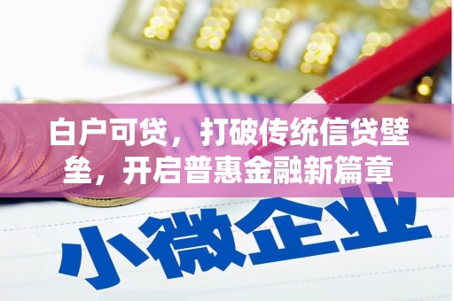 泸水白户可贷，打破传统信贷壁垒，开启普惠金融新篇章