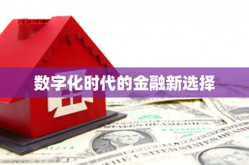 泸水数字化时代的金融新选择