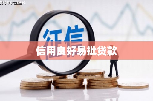 泸水信用良好易批贷款