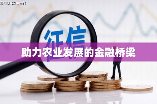 泸水助力农业发展的金融桥梁