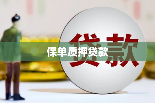 泸水保单质押贷款
