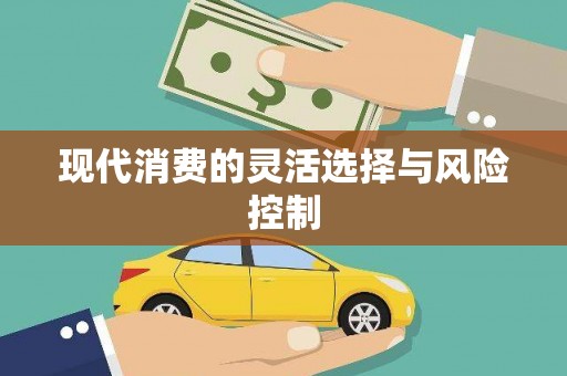 泸水现代消费的灵活选择与风险控制