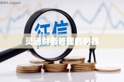 泸水灵活财务管理的利器