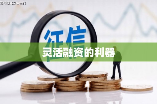 泸水灵活融资的利器