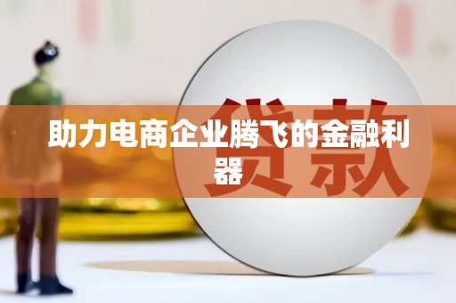 泸水助力电商企业腾飞的金融利器